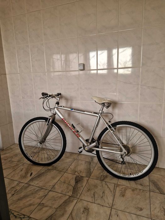 Bicicleta adulto