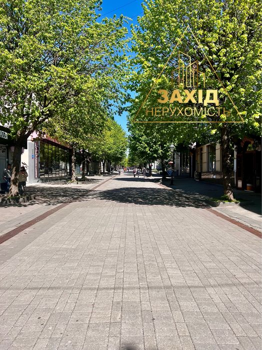 Комерція 142 кв.м! Центр! вул.Лесі Українки! 739 $/кв.м
