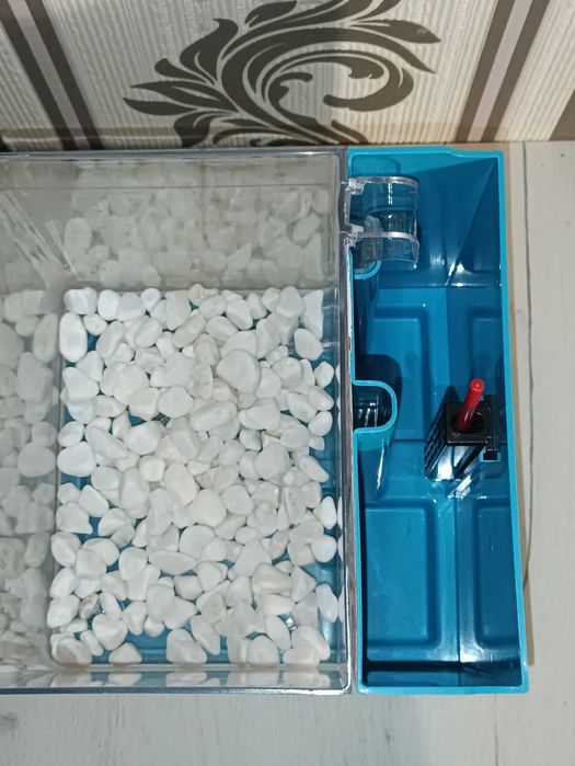 Акваріум для рибки