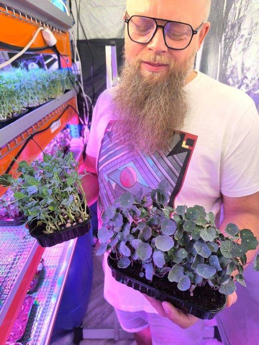 Gotowa farma microgreens "pod klucz" – przejmij kompletną farmę od zaraz.