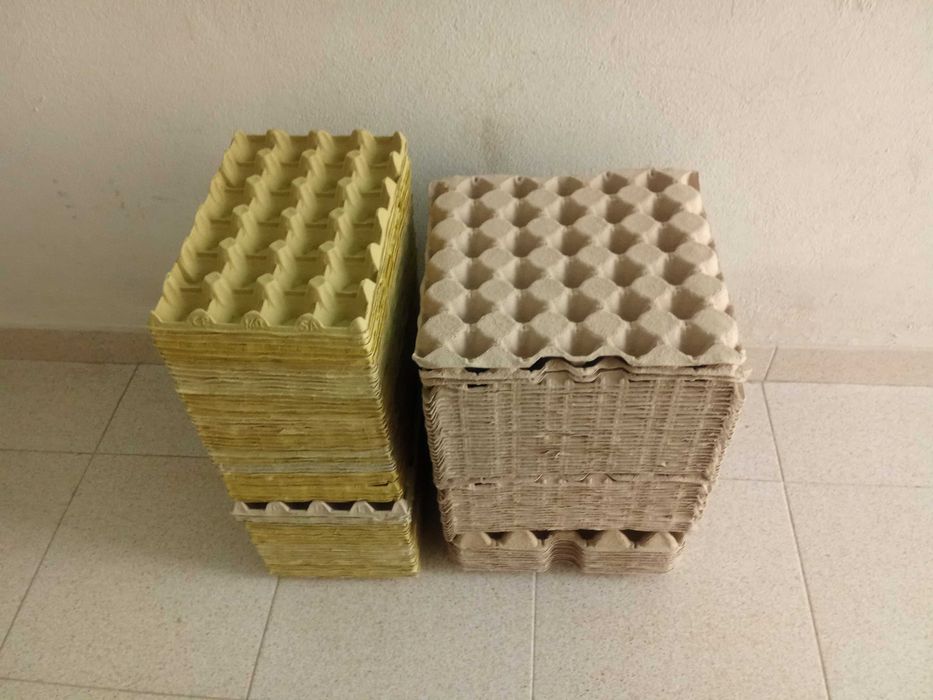 Caixas de Ovos em cartão