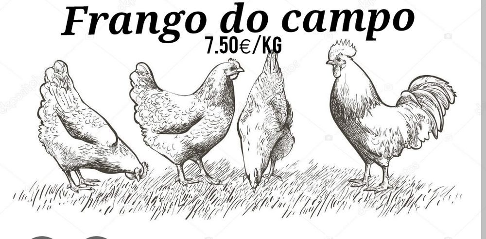 Vendo frangos criados ao ar livre