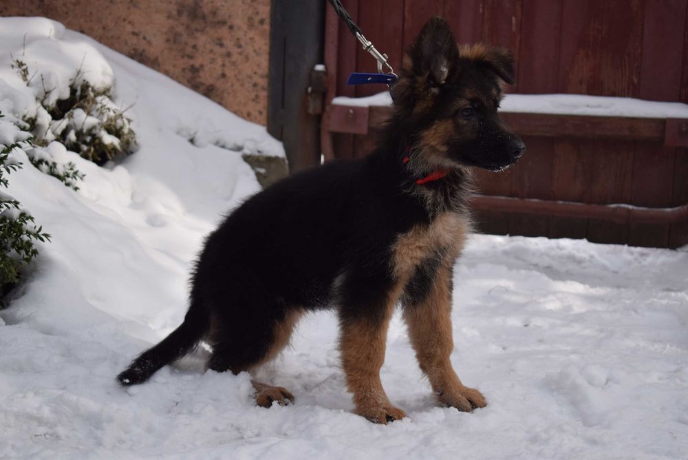 Готові до переїзду  КСУ 5 місяців