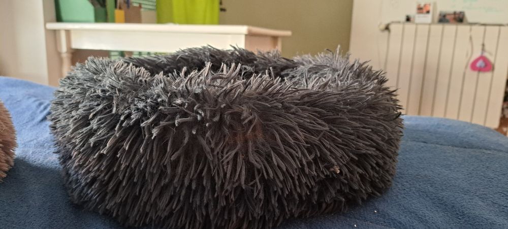 Camas ninho para gatos super fofas