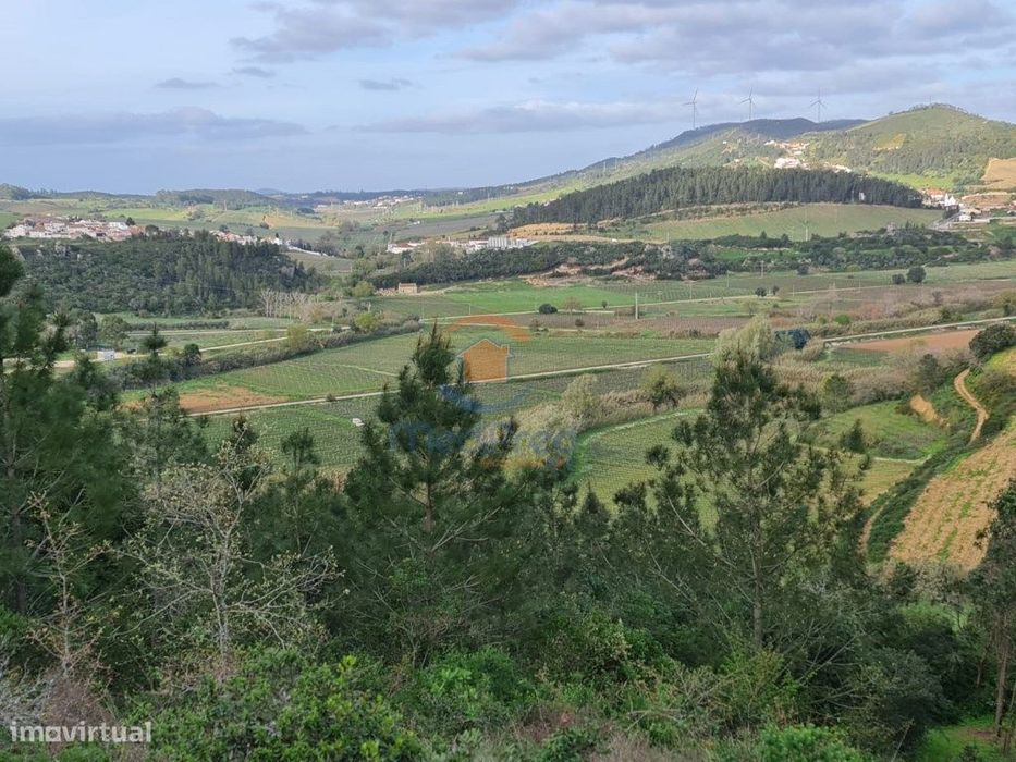 Agricultural Land 31,000 m² | Matacães, Torres Vedras