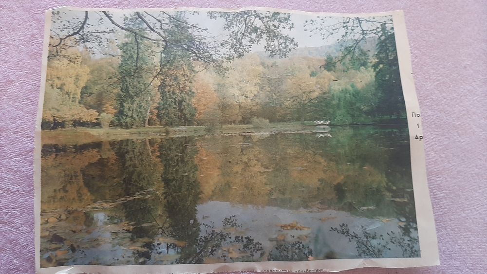 Продам Фотообої (380×272)