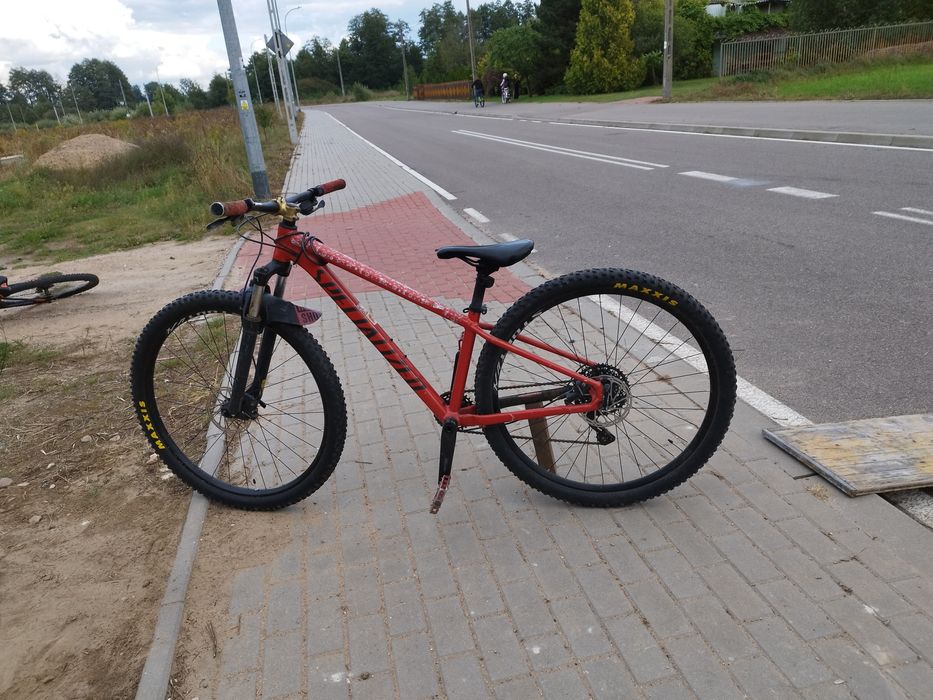 Specialized Rockhopper Comp 29 2024