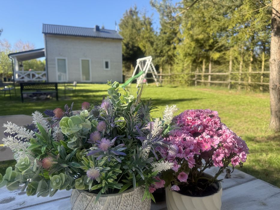 Domki na Kaszubach u Madzi