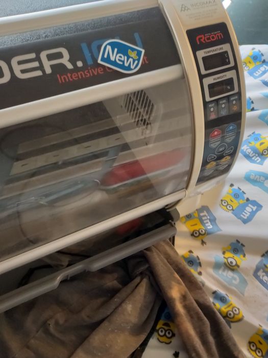 Incubadora criadeira em bom estado a funcionar na perfeição e dá para fazer tratamentos