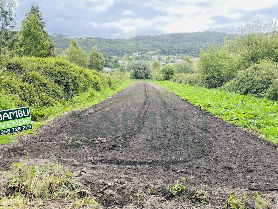 Terreno Agrícola para Venda