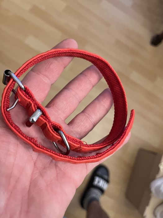 Zestaw dla szczeniaka