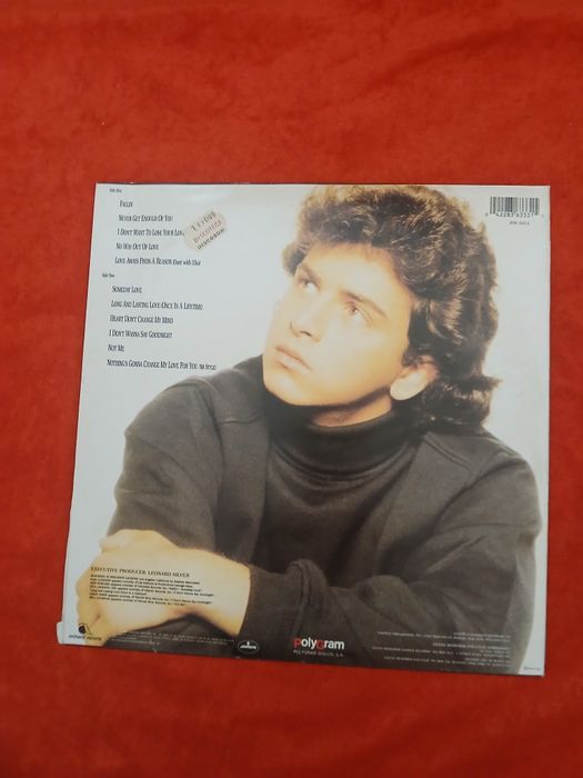 Discos Vinil vários