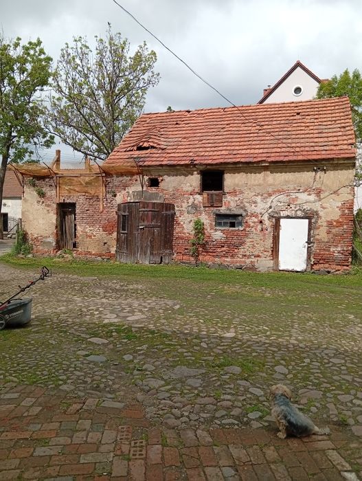 Oddam za darmo cegłę