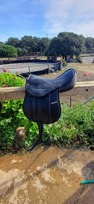 Selas inglesas e de pónei usadas