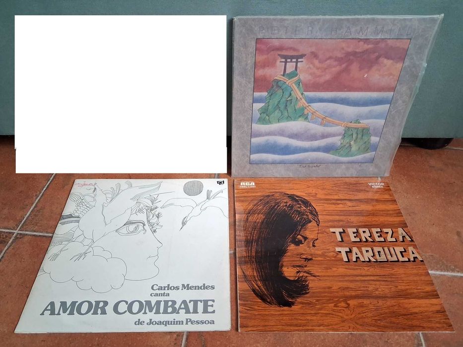 Lote de 27 discos LP Amália, Simone, Duo Ouro Negro, José Afonso, e mais.