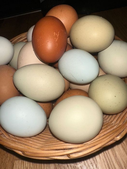 Ovos azuis, verdes, chocolate e  normal caseiros