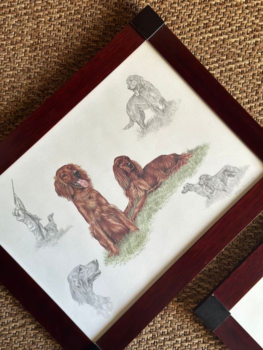Dog Paintings: Setters and Pointers446032999130736642
