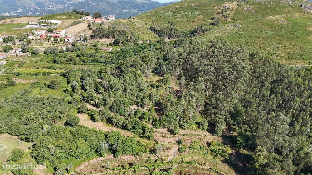 Quinta com 2 Hectares e Casa em Pedra para Recuperar em Gomide, Vila V