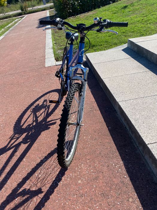 Bicicleta de grau