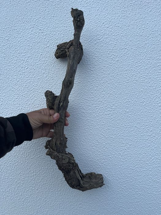 Tronco de videira para terrario