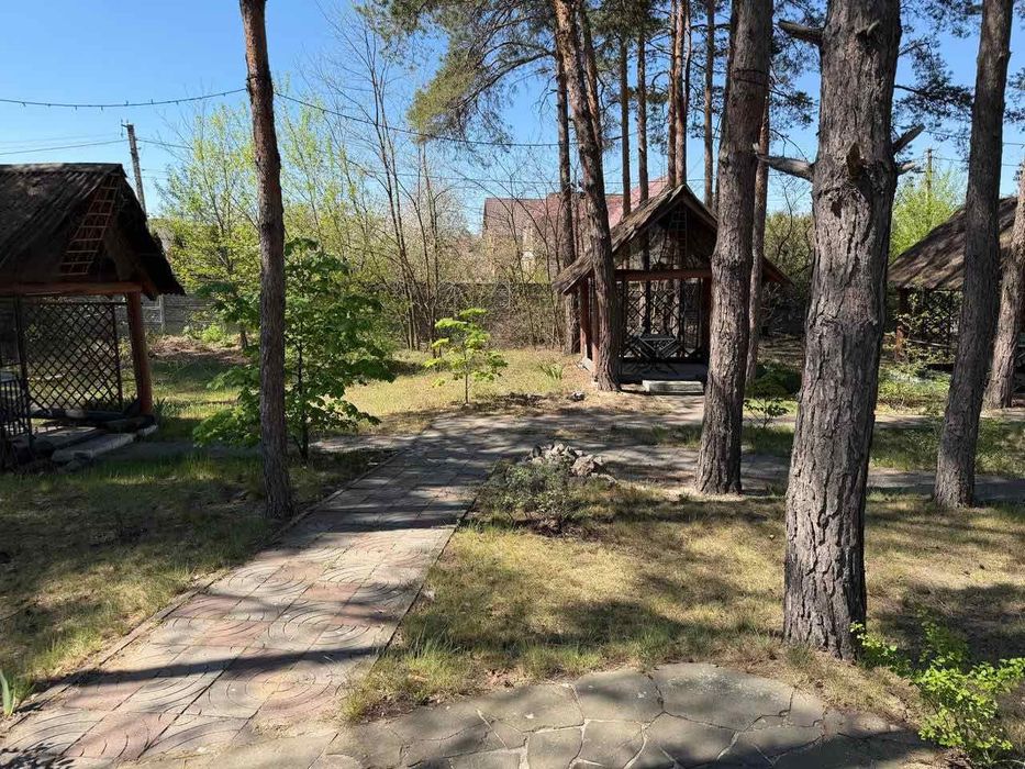 Продаж земельної ділянки 20 сот.під будівництво будинку,комерційноі нерухомості,фасадний заїзд з Новообухівської траси поруч АТБ,Блакитне озеро,Бізнес - View 4