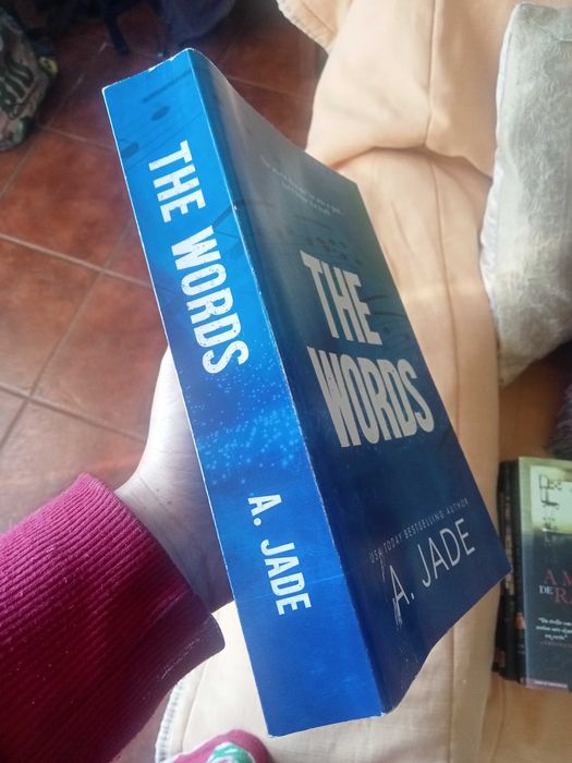 The Words, bully romance