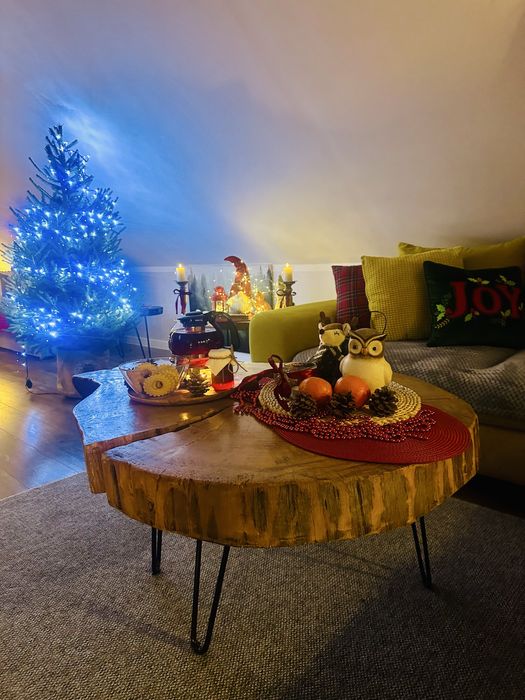 Apartameny w lesie na Kaszubach do 12 osób- balia, jacuzzi