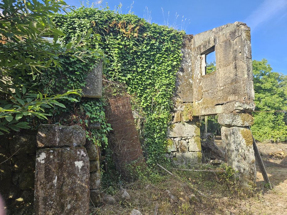 Vendo terreno com ruinas