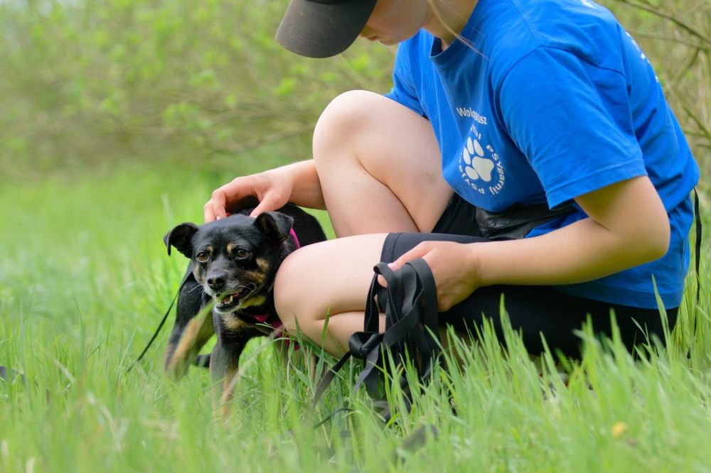 Malutka sunia Jessie szuka domu