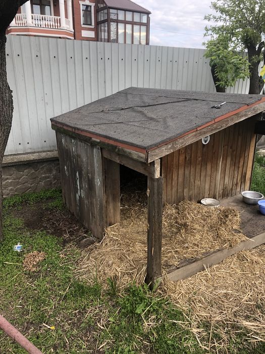 Собачья будка,вольер,для собаки