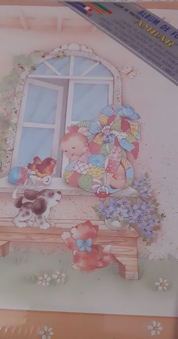 Álbuns de fotos novos em caixa