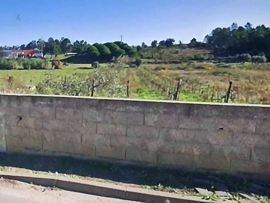 Venda ou Permuta: 2 Terrenos (Total 3920m²) em Fazendas de Almeirim