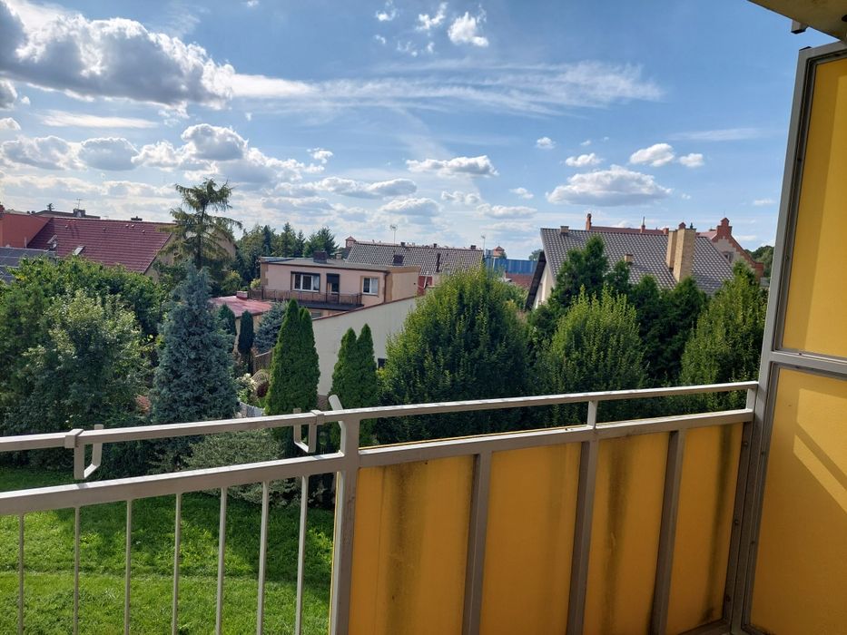 Zdjęcie 7