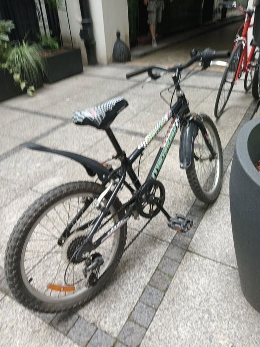 Rower dziecięcy Predator