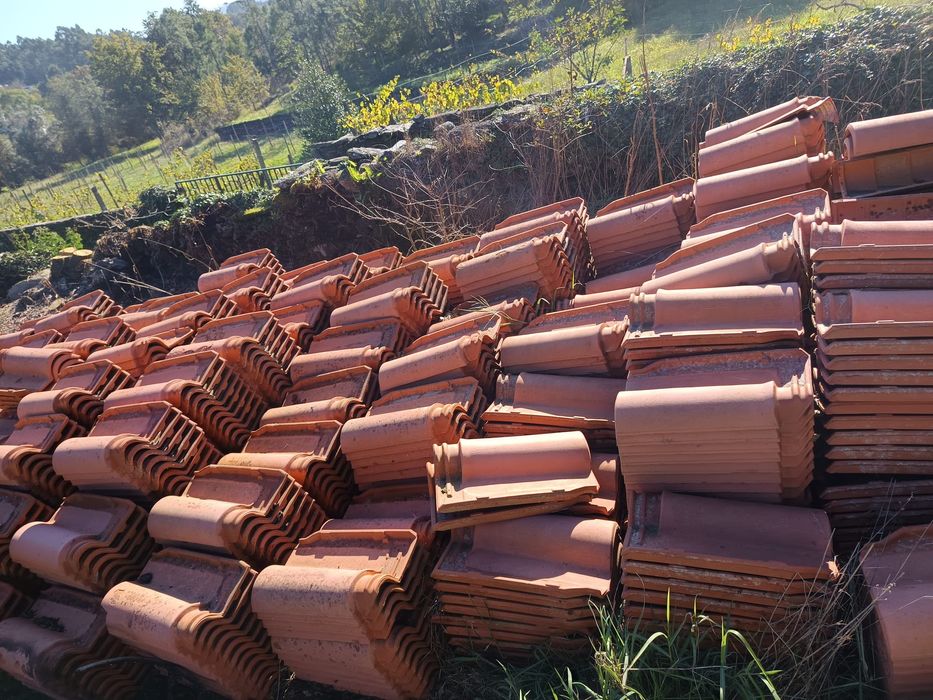 Lote de telhas tipo Marselha