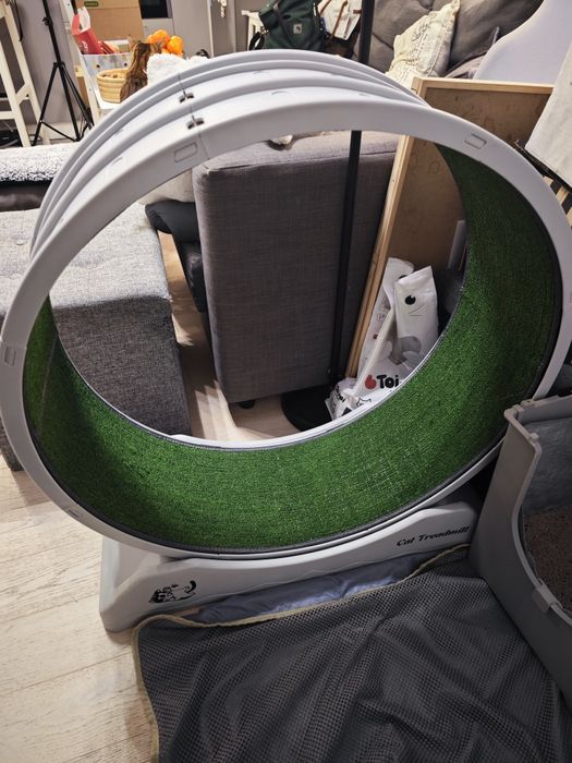 Koło do biegania dla kota