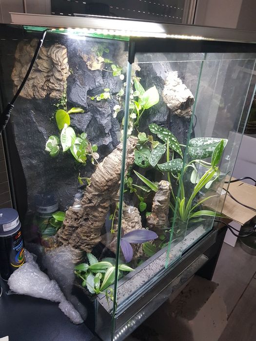 Terrarium 40x40x60 gekon
