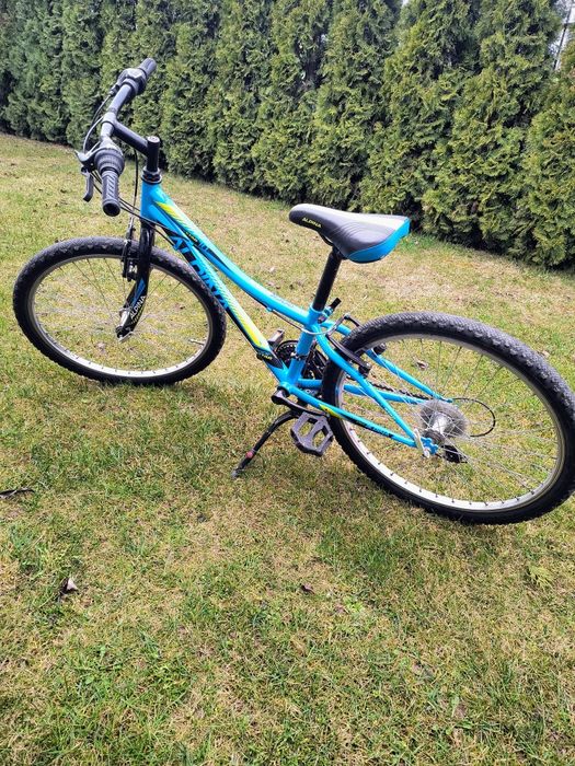 Rower Alpina 24 cale