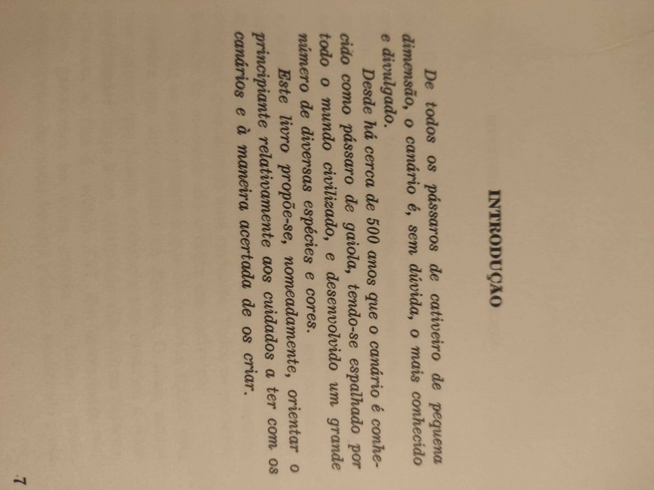 ABC da Criação de canários - Cury af Enehjelm