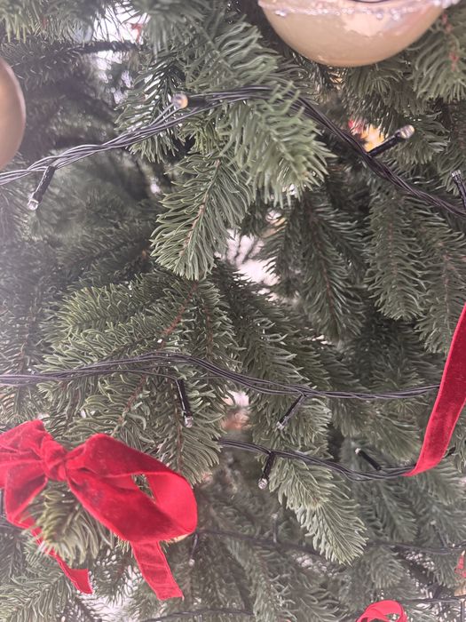 Продам литу ялинку