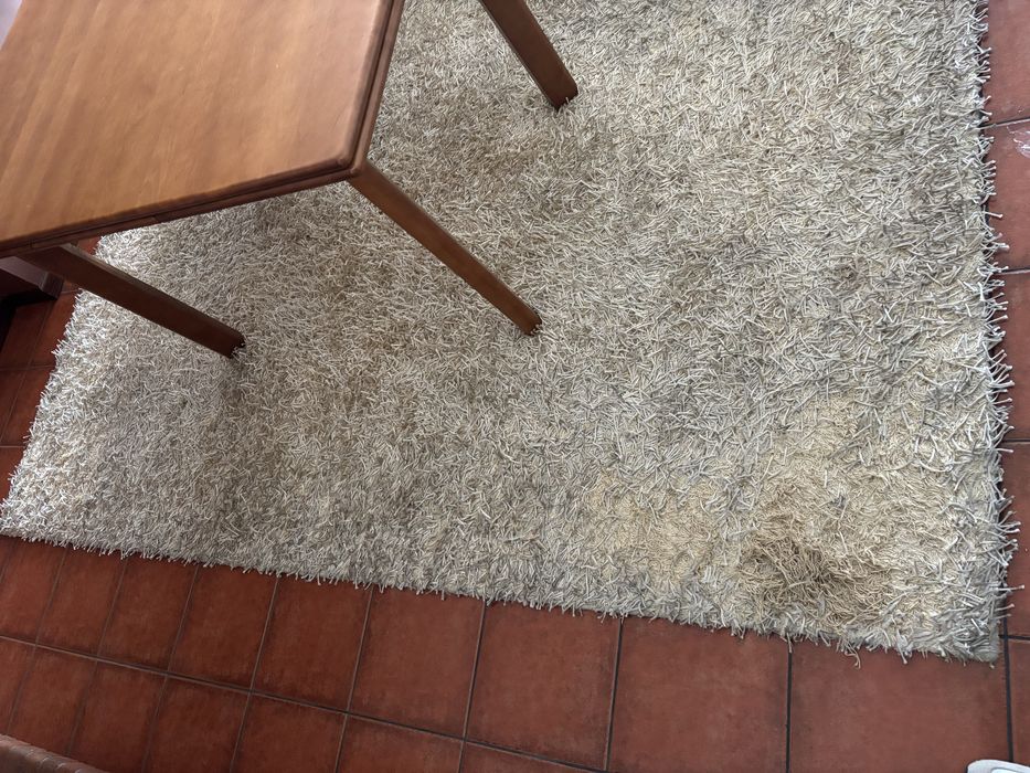 2 Carpetes / tapetes de sala