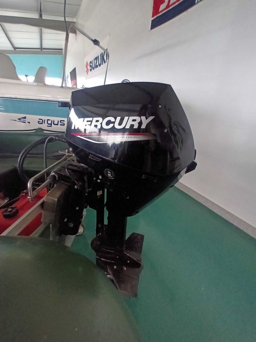 BARCO WHALY 310 Com o motor MERCURY 15HP 4T. EFI ELPT
