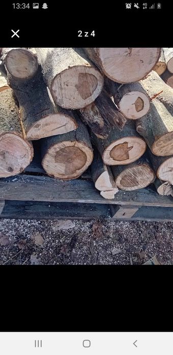 Drewno Kominkowe LIŚCIASTE Dąb, Jesion, Akacja