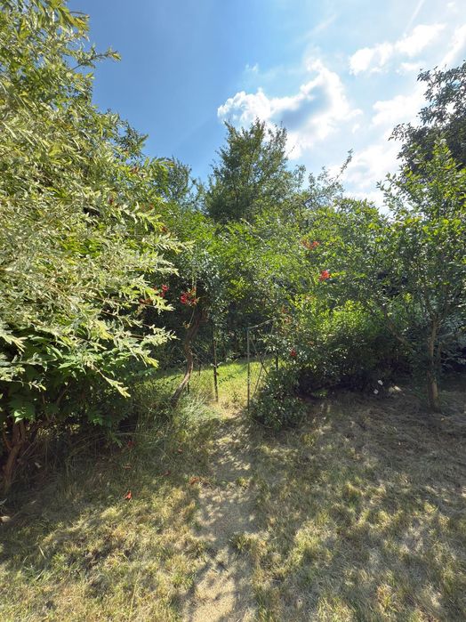 Działka ROD Kraków Golikówka