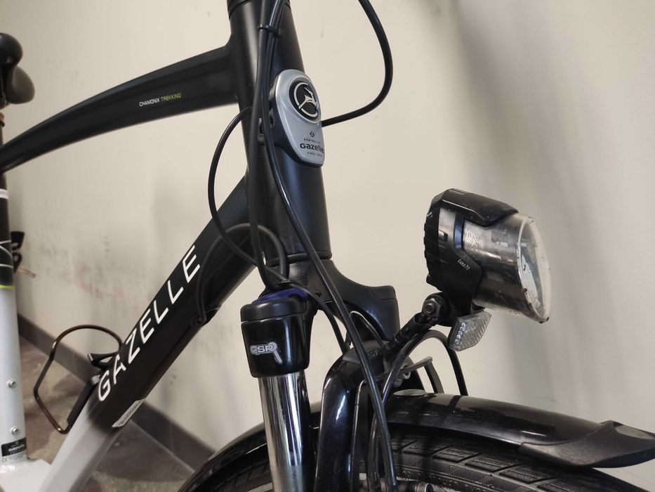 Gazelle Chamonix T10 Trekking, 28", BOSCH, MAGURA