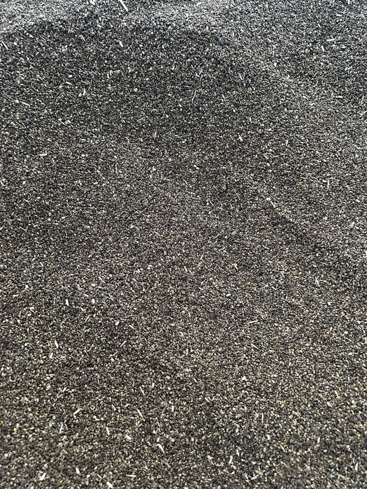 Nostrzyk biały dwuletni czyszczony