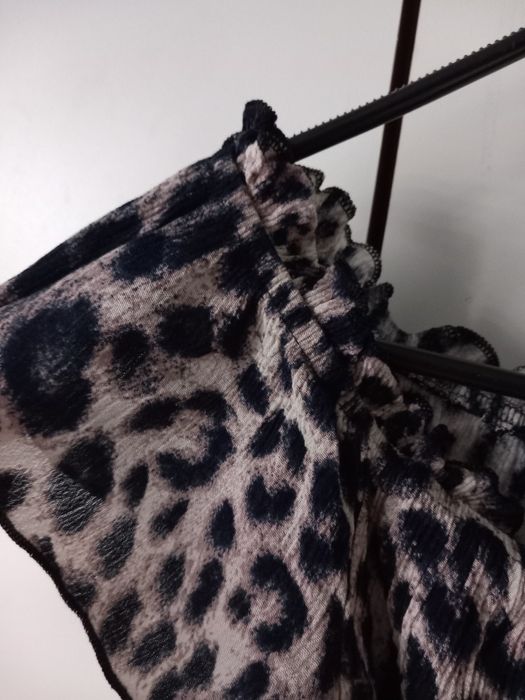 Top topik panterka wiązany