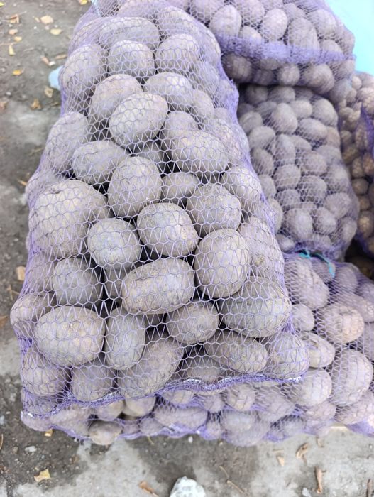 Картофель с доставкой