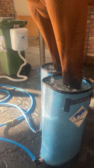 Ozone Horse urządzenie