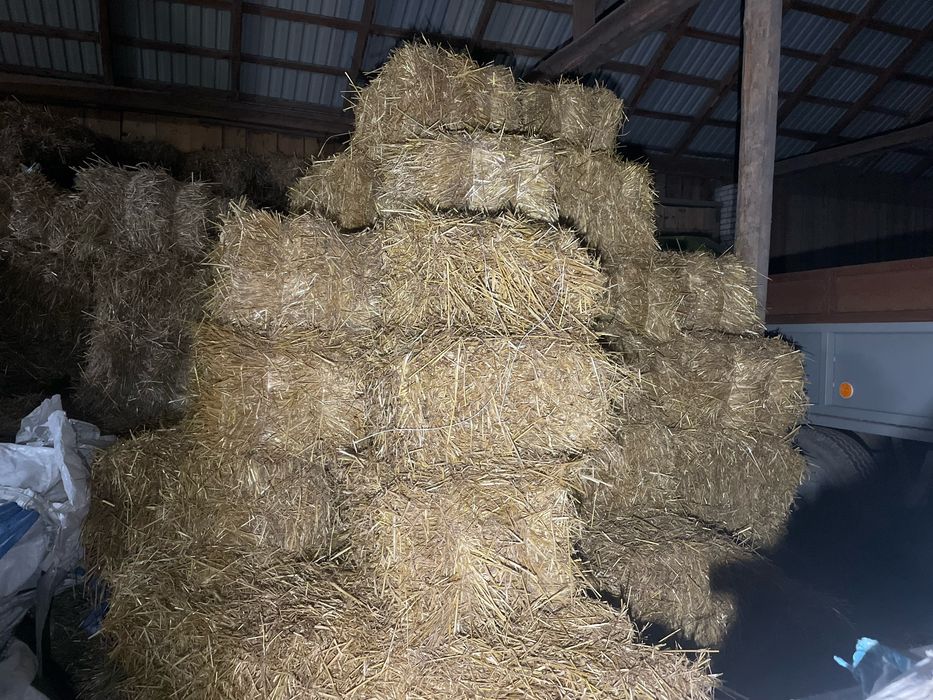 Słoma kostka   zytnia,owsiana